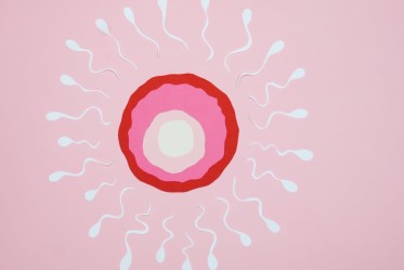 Fertility acupuncture